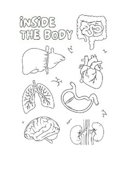 Inside the Human Body Coloring and Matching by Mary Makes Worksheets