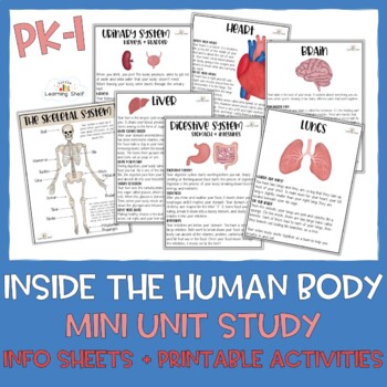 Preview of Inside the Human Body Mini Unit Study