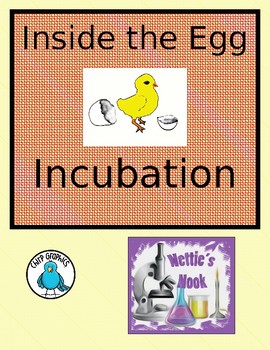 Preview of Inside the incubating egg. A day by Day Flipbook