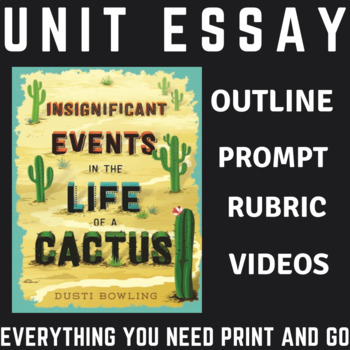 essay generator cactus