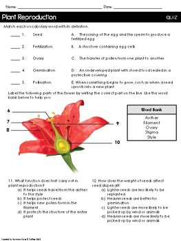 inspire science assessments grade 4 florida s plants and animals