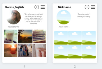 Preview of Instagram "Aesthetic" Introduction Activity