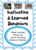 Instinct vs. Learned Behavior Card Sort