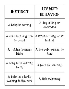 write an essay comparing and contrasting instinctive and learned behaviors