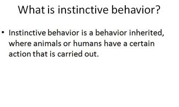 Preview of Instinctive Animal Behaviors