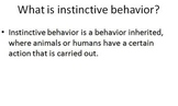 Instinctive Animal Behaviors