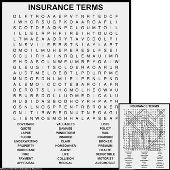 Preview of Insurance Terms Word Search