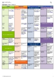 Integrated Planning Doc - STEM Merged Scope and Sequence Year PP