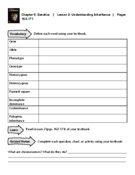 Integrated Science Course 2 Supplemental Materials: Chapter 5 Lesson 2