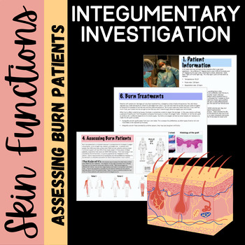 Preview of Integumentary Lab Investigation: Burn Victim