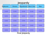 Integumentary Jeopardy Review Game