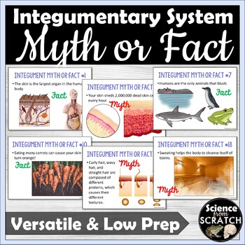 Preview of Integumentary System Introduction Activity: Myth and Fact Challenge