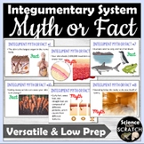 Integumentary System Introduction Myth or Fact Challenge A