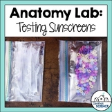 Sunscreen Lab for the Integumentary System (Skin)