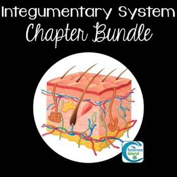 Preview of Integumentary System Chapter Bundle for Anatomy and Physiology