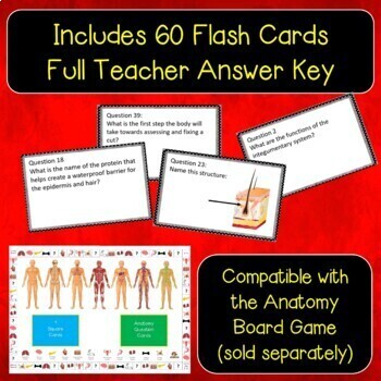 4. Wound Healing Flashcards