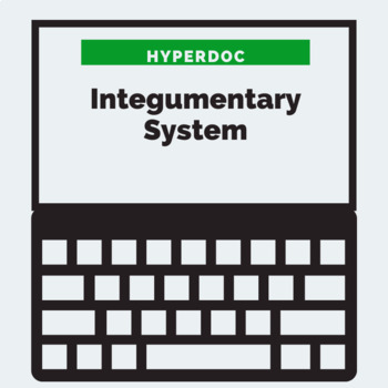 Preview of Integumentary System HyperDoc