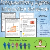 Skin, Hair, Nails: Integumentary System Interactive Notebook