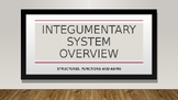 Integumentary System Introduction and Overview PowerPoint 
