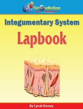 Preview of Integumentary System Lapbook / Interactive Notebook