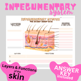 Integumentary System || Layers of the Skin & Functions || 