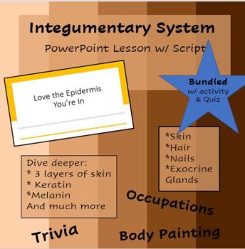 Integumentary System Poerpoint Teaching Resources | TPT