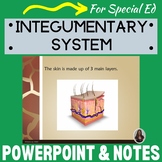 Integumentary System PowerPoint and notes for Special Education