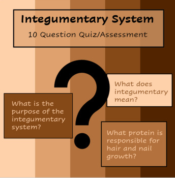 Preview of Integumentary System Quiz