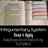 Integumentary System Read and Apply Notebook Activity {NGS