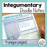 Integumentary System Doodle Notes Bundle - Distance Learning