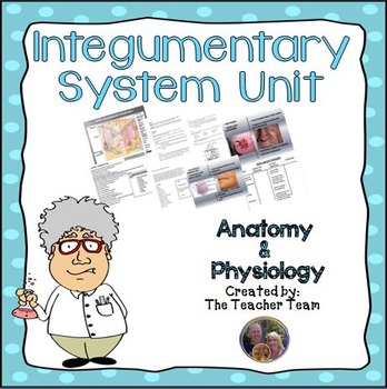 Preview of Integumentary System Unit | Anatomy and Physiology | Biology