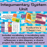 Integumentary System (Skin) Unit! Includes Vocab, Notes, P