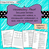 Integumentary System (Skin) Vocabulary/Vocab Pack with Wor