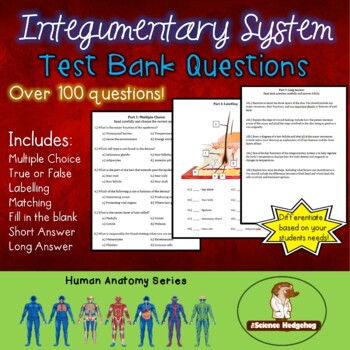 Preview of Skin, Hair, Nails: Integumentary System Test Questions