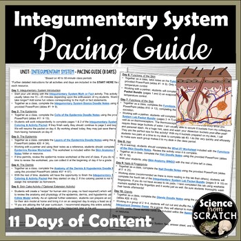 Preview of Integumentary System Unit Pacing Guide | Anatomy Curriculum Lesson Plans