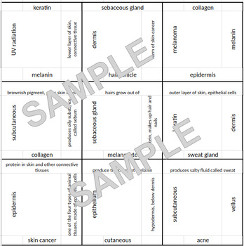 Preview of Integumentary System Vocab Puzzle