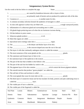 Integumentary System questions sheet by Sandra Gibbs | TpT