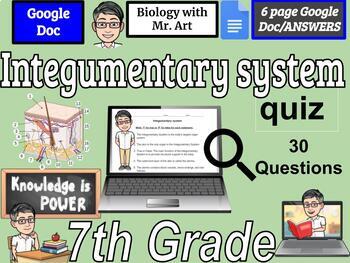 Preview of Integumentary system quiz- 7th Grade - 30 True/False Questions with Answers
