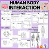 Interaction function- human body systems-  función relació