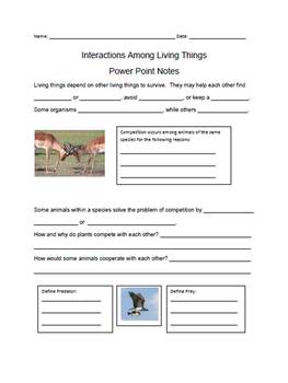 worksheet interactions animal Interactions  Symbiosis, Things Living Competition Among
