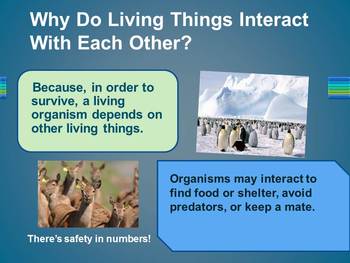 Interactions Among Living Things - Symbiosis, Competition, Predator/Prey