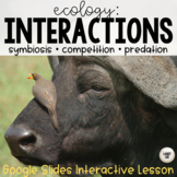 Interactions Google Slides Presentation (Competition Symbi
