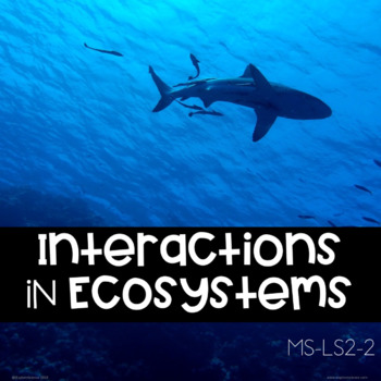 Preview of Interactions In Ecosystems Explore Card Sort  (NGSS MS-LS2-2)