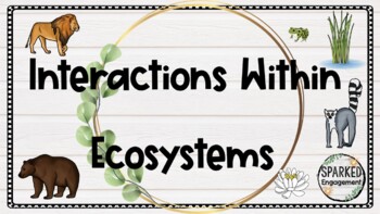 Preview of Interactions Within Ecosystems PowerPoint Presentation