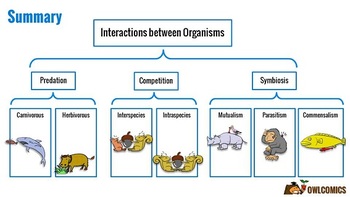 predation symbiosis organisms