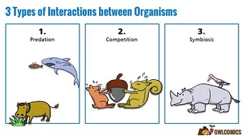 Preview of Interactions between Organisms (Symbiosis, Competition, & Predation)