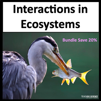 Preview of Ecosystems Activities & Interactions & Food Webs & Resource Availability