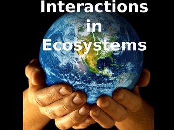 Preview of Interactions in Ecosystems PowerPoint (5th Grade Scott Foresman Science- Ch. 5)