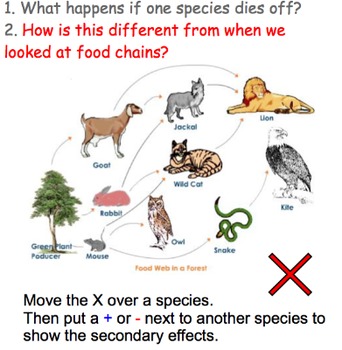 Interactions of Life/Ecology FULL UNIT: 58 Files = 19+ Lessons ...