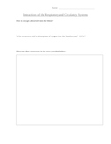 Interactions of Respiratory and Circulatory System Worksheet